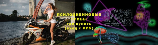 стаф Белокуриха