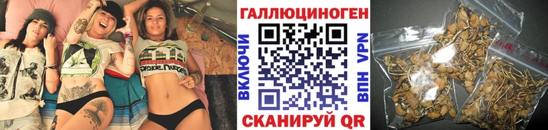 Галлюциногенные грибы Psilocybe  нарко площадка клад  Ставрополь 